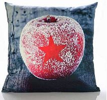 Наволочка Sander FROZEN APPLE 50х50 цвет 40