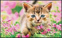 Коврик Kleen-Tex KITTY (019490) 50х75