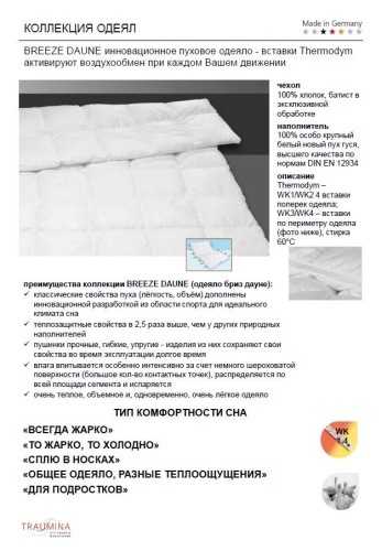 Одеяло Traumina BREEZE DAUNE Всесезонное (WK3) фото 2